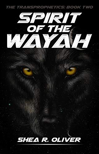 REVIEW: Spirit of the Wayah by Shea Oliver @sheaoliver